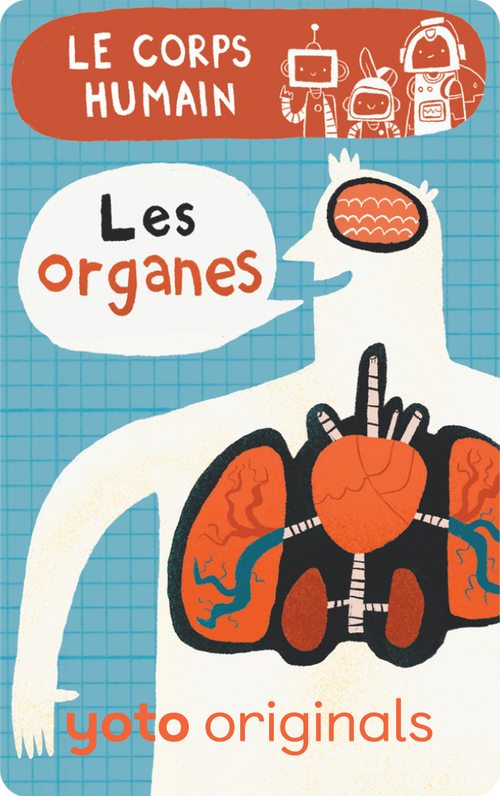 Explorobots : Le corps humain