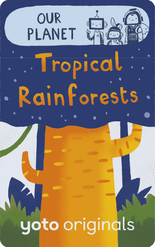 rainforests